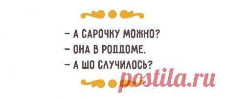 Хотите научиться жизни — приезжайте в Одессу