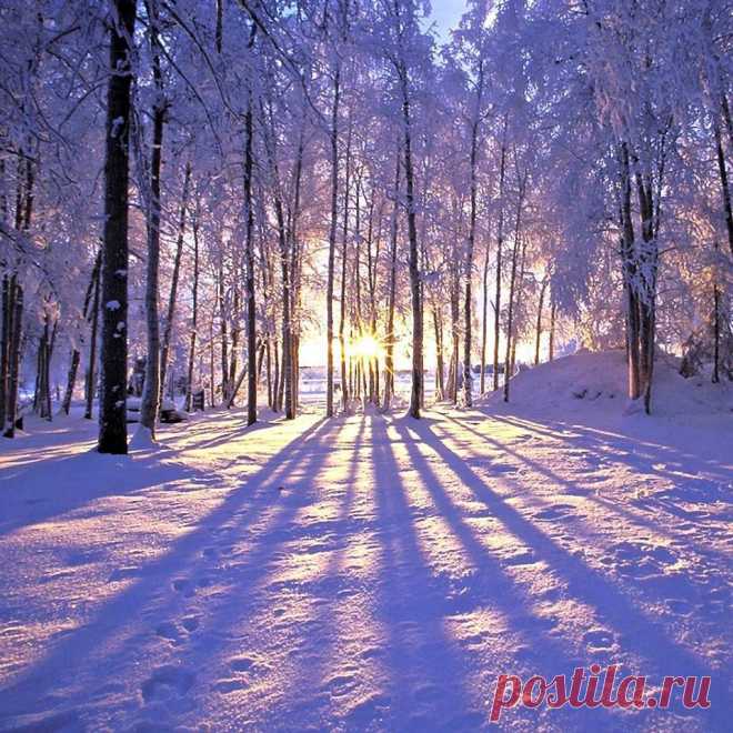 Мой Мир@Mail.Ru