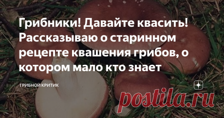 Грибники! Давайте квасить! Рассказываю о старинном рецепте квашения грибов, о котором мало кто знает Сыроежки - одни из самых недооценённых грибов российских. лесов. А ведь если подойти к ним с должным вниманием и почтением, то они мало кого оставят равнодушными, будучи правильно приготовленными.
Сыроежек много, очень много. А когда чего-то много, мы начинаем воспринимать это, как должное и обязательное. И стремимся к чему-то другому, которое встречается не так часто и потому выглядит для нас