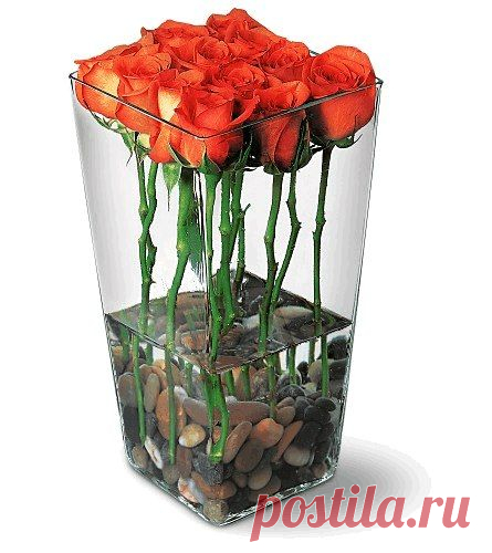Хозяйственные Хитрости