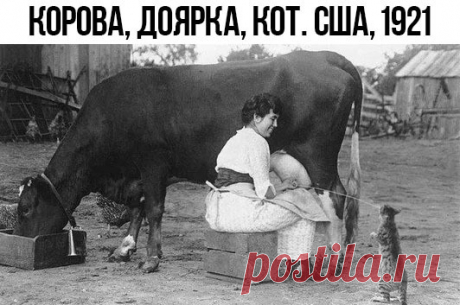Мгновения прошлого