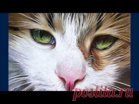 Колотуша Елена - YouTube