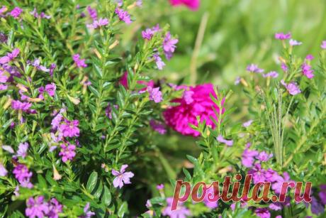 Чудесная практика Красоты «10 дыханий». Прокладываем новые нейронные «пути счастья»! | Все об Осознанной Красоте