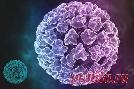 16 тип вируса папилломы лечение
ВПЧ 16 типа у женщин и мужчин, лечение вируса папилломы человека