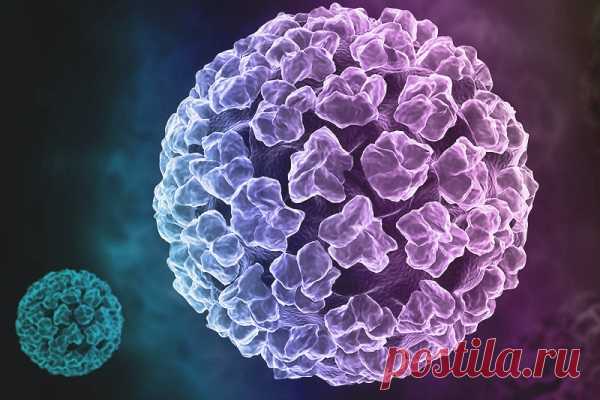 16 тип вируса папилломы лечение
ВПЧ 16 типа у женщин и мужчин, лечение вируса папилломы человека