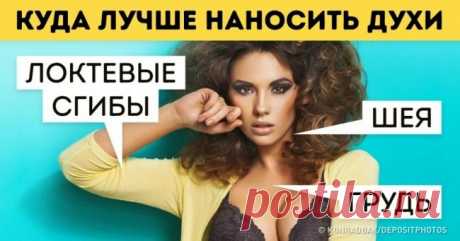 Краткое руководство для тех, кто хочет разбираться в духах