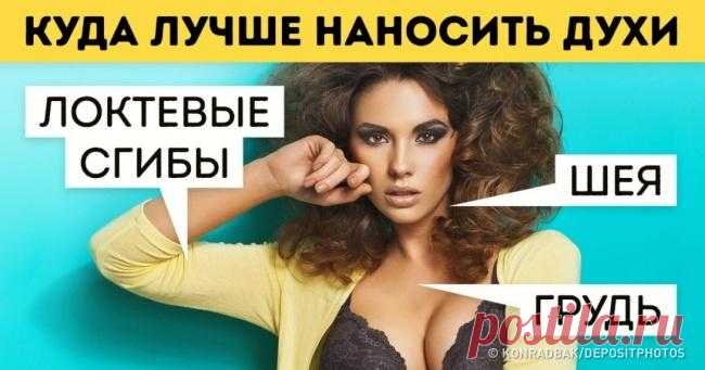 Краткое руководство для тех, кто хочет разбираться в духах