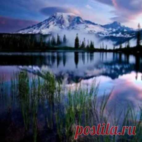 Что принимать по жизни?
