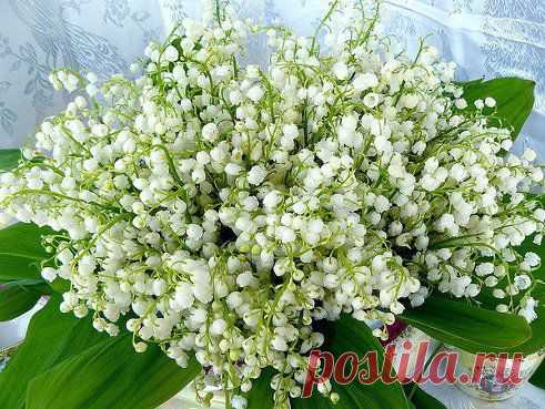 (57) Одноклассники