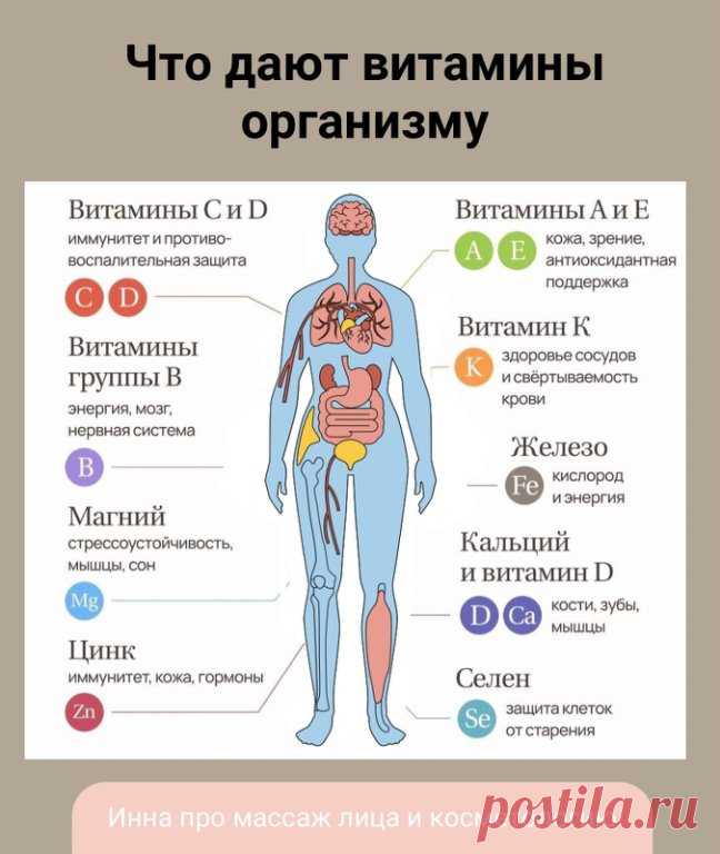Зачем нам витамины?

Если состояние не очень, нужно сдать анализы. Возможно в организме нехватка каких-то витаминов.