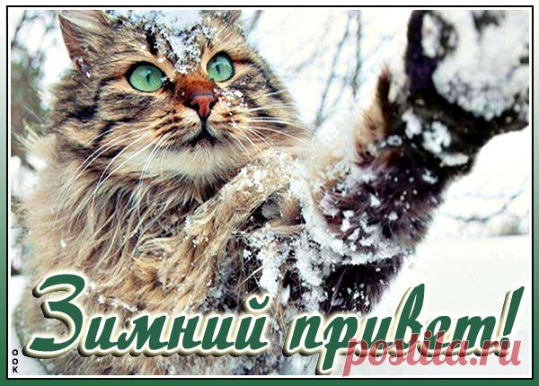 Зимняя картинка привет