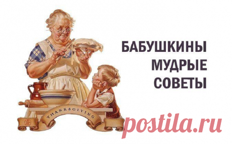 29 Пальм - Клуб путешествий Павла Аксенова &gt; Блог Павла Аксенова