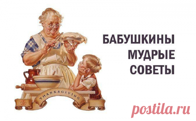 29 Пальм - Клуб путешествий Павла Аксенова > Блог Павла Аксенова