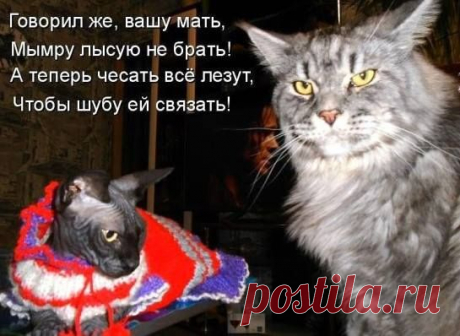 ХАХ!!!