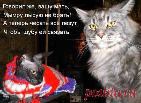 ХАХ!!!