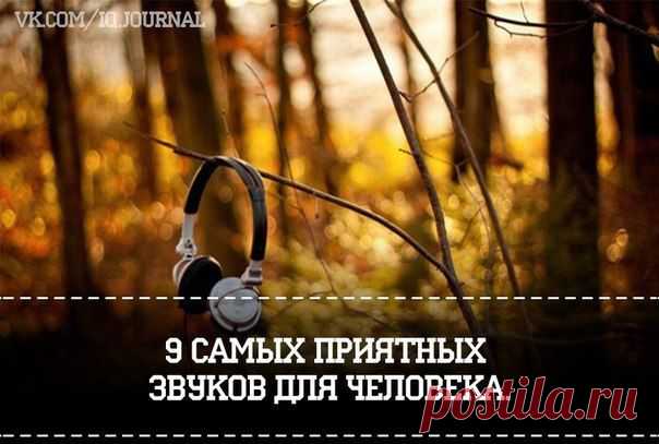 IQ - интеллектуальный журнал