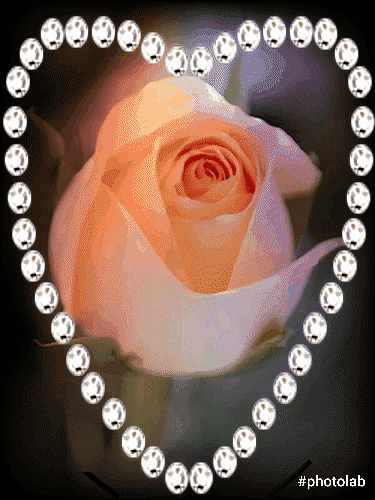 UNIVERSO GIF E MENSAGENS – Google+