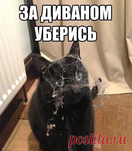 Идеальная Хозяюшка | ВКонтакте
