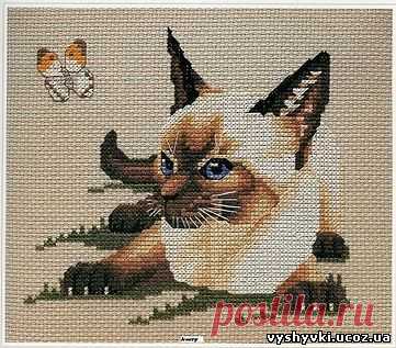 Сиамский кот с бабочкой - вышивка крестиком - Коты  - ВЯЗАНИЕ СПИЦАМИ, КРЮЧКОМ - Бесплатные схемы вышивки крестиком