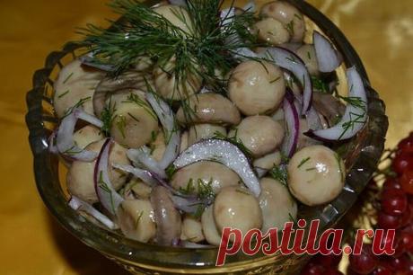 ГРИБЫ МАРИНОВАННЫЕ
Малосольные грибочки всегда хороши,особенно с отварной картошечкой,да под рюмочку))
	
НЕОБХОДИМО  на 300г шампиньонов,150мл воды,50мл белого винного уксуса,2 ч.л.соли,2-3 горошины душистого перца,5-6 горошин черного перца,1 лавровый лист,1-2 зубчика чеснока,2-3 веточки укропа.
1.В кастрюлю наливаем воду,добавляем уксус,соль,перец,лавровый лист и доводим до кипения. Добавляем шампиньоны,причем лучше всего небольшого размера или большие режем на части.В ка...