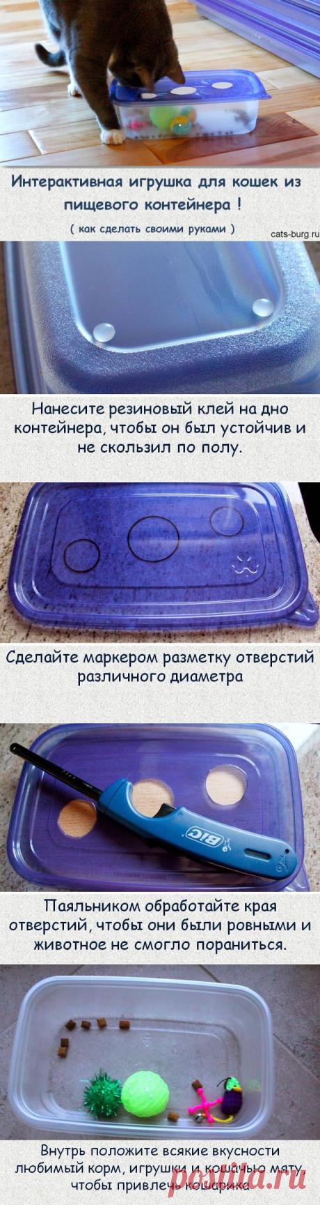 Интерактивная игрушка для кошек своими руками из пищевого контейнера | Город кошек