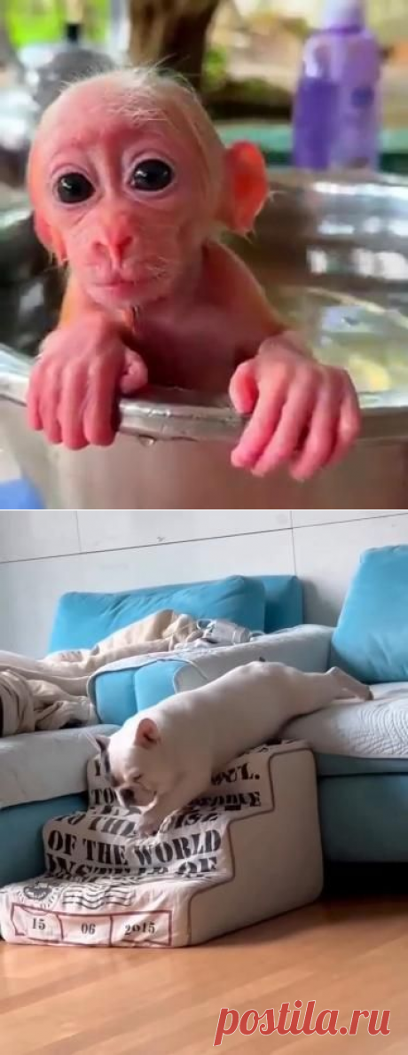 Pinterest  Утречко!