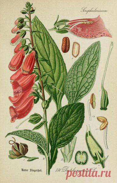 ~ MON PLAISIR ~ Вещи для души. Винтаж,Прованс.