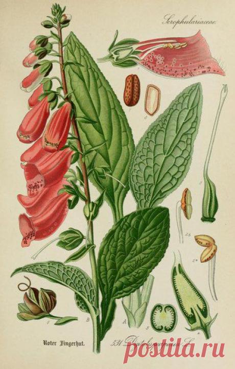 ~ MON PLAISIR ~ Вещи для души. Винтаж,Прованс.