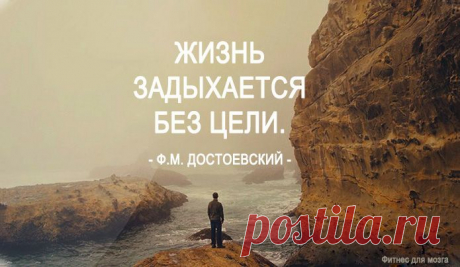 Одной фразой – Фитнес для мозга