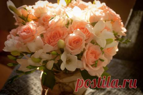 В гостях у Михалыча