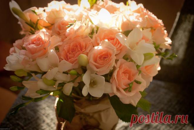 В гостях у Михалыча