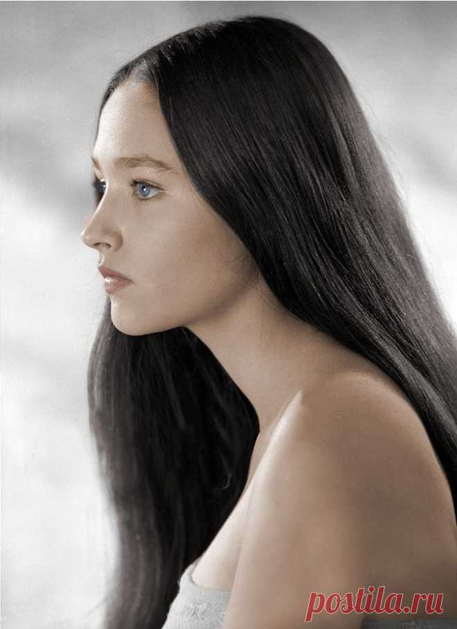 Оливия Хасси