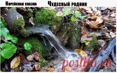 Сказка о роднике, который возвращал молодость