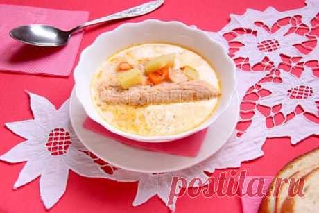 Молочный суп с семгой, рецепт с пошаговыми фото | Все Блюда