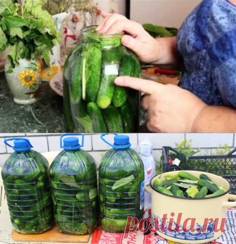 Заготовки огурцов
