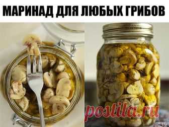Ловите, хозяюшки вы мои!) Маринад для любых грибов.      

1 литр воды; 
2 ст. л. сахара; 
4 ч. л. соли; 
3 шт. лаврового листа; 
6 горошин душистого перца; 
4 шт. гвоздики; 
3 кусочка корицы (молотой ½ ч. л.) ; 
3 ч. л. уксусной эссенции 70 %. 

При использовании столового 5% уксуса необходимо взять 800 мл воды и 200 мл 5% уксуса. При использовании 9% уксуса - 890 мл воды и 110 мл 9% уксуса. 

ПРИГОТОВЛЕНИЕ: 

Вскипятить воду, добавить специи, проварить минутки три (уксус...