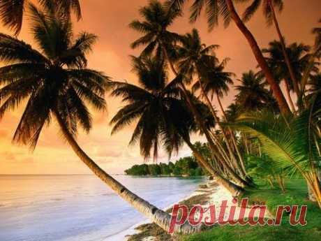 ▶ Океан и музыка - YouTube