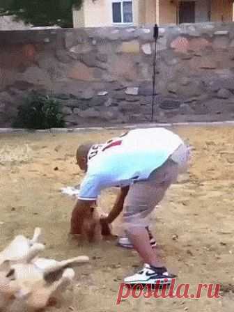 Положи на место