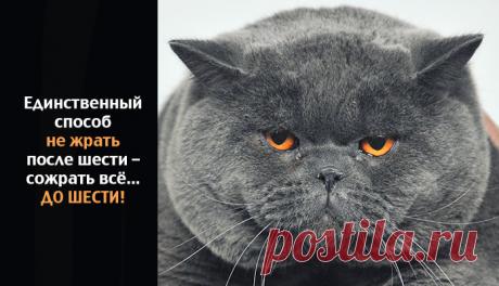 Совет дня – Фитнес для мозга