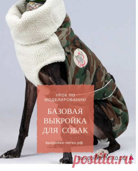 БАЗОВАЯ ВЫКРОЙКА ОДЕЖДЫ ДЛЯ СОБАК. ПОЛЕЗНЕЙШИЙ МАТЕРИАЛ!