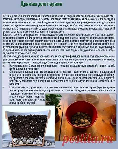 Дренаж для герани