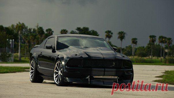 Ford Mustang / Только машины