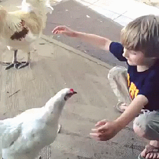 Трогательные фотографии о любви животных к людям