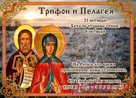 Считалось, что в этот день нельзя начинать важные дела — лучше посвятить время семье и молитве. Пусть этот день принесёт покой, добрые вести и светлую надежду. Берегите близких и дарите тепло!
Трифон и Пелагея открытки