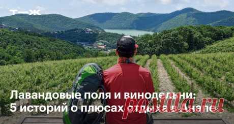 Как хорошо отдохнуть в Анапе и кому туда стоит съездить Советы читателей Т—Ж
