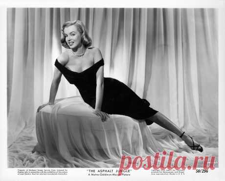 The Asphalt Jungle (1950) 8x10 photo | KlaatuCarpenter | Flickr