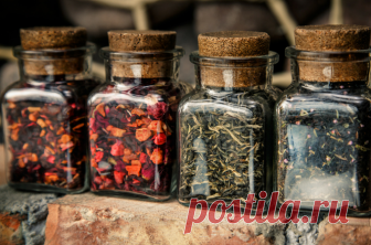 How to Grow Your Own Tea Garden | Montana Happy How to Grow Your Own Tea Garden will show you how easy it is to have the ingredients for your favorite teas just outside your door. Who knew it would be so easy?