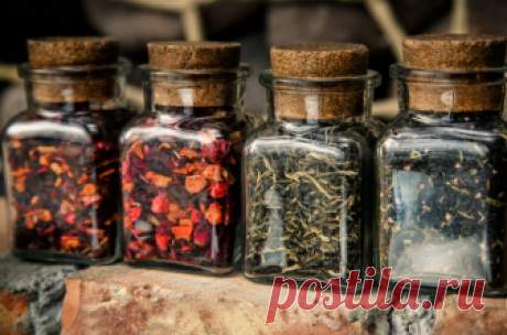 How to Grow Your Own Tea Garden | Montana Happy How to Grow Your Own Tea Garden will show you how easy it is to have the ingredients for your favorite teas just outside your door. Who knew it would be so easy?