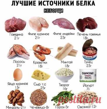 Белок в продуктах: где его больше всего?
Белок — это не просто питательное вещество, а главный строительный материал для нашего тела.