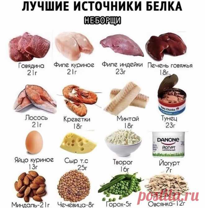 Белок в продуктах: где его больше всего?
Белок — это не просто питательное вещество, а главный строительный материал для нашего тела.